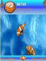 Animated Clown Fish